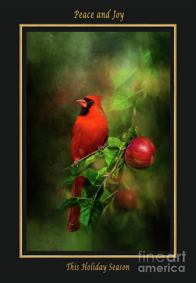 Red Cardinal Christmas Card Mixed Media by Kathy Kelly