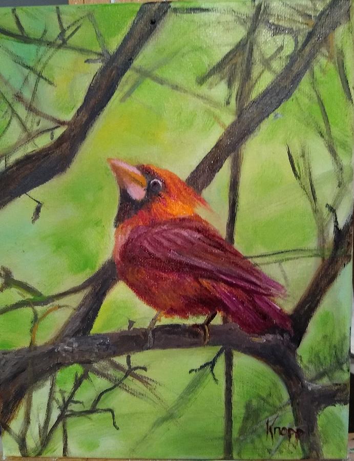 Red Cardinal Painting by Kathy Knopp
