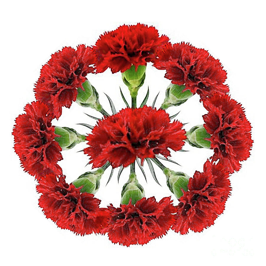 Red Carnation Wreath Photograph by Charles Robinson