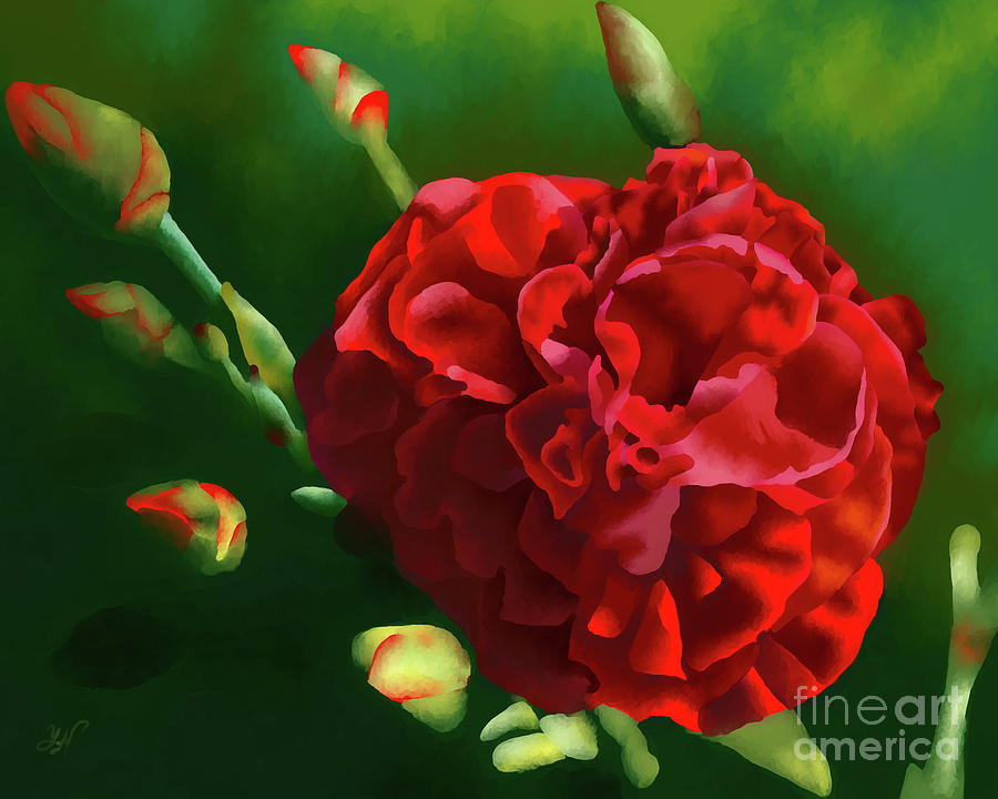 Red Carnation  Digital Art by Yenni Harrison