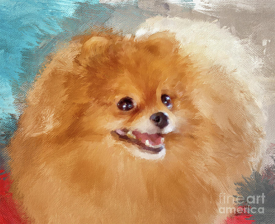 Red Carpet Pomeranian Digital Art by Lois Bryan