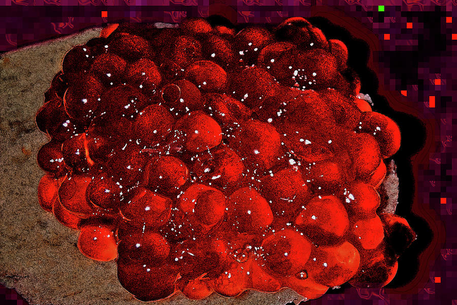 Red Caviar. Digital Art