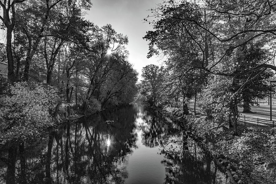 Red Cedar River on the Michigan State University campus in black and white Photograph by Eldon McGraw