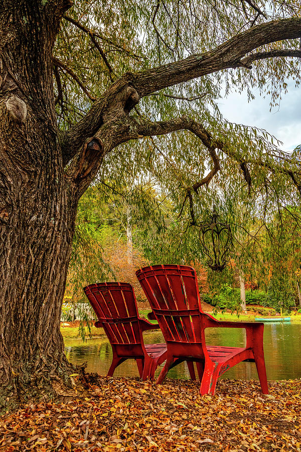 Red Chairs at the Pond Photograph by Debra and Dave Vanderlaan