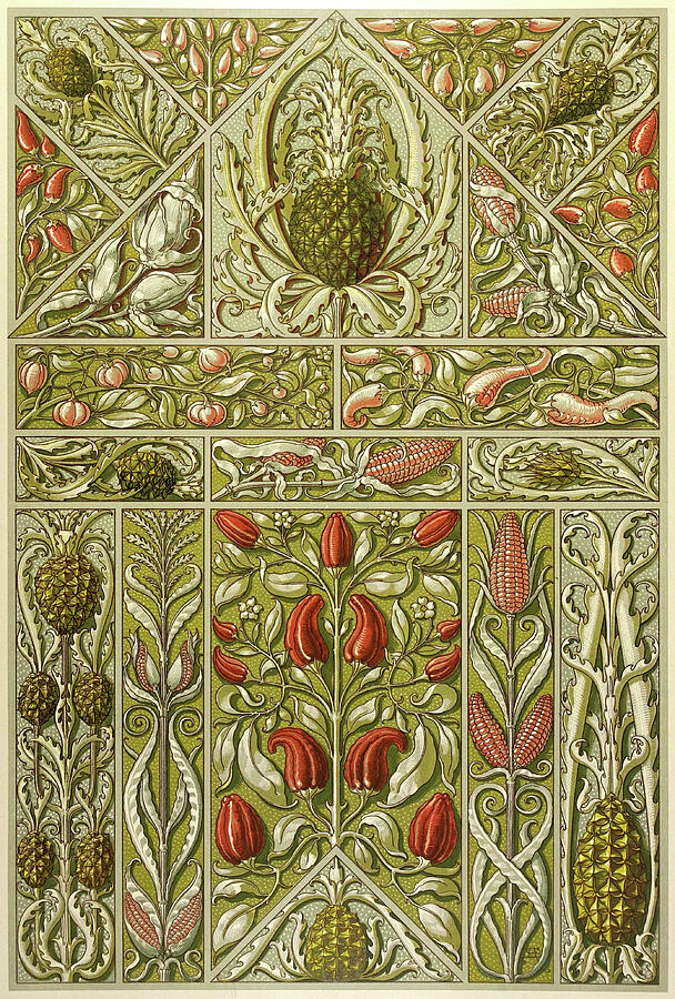 Red Chillies, Pineapple and Corncob - Art Nouveau illustrations by Anton Seder Drawing by Anton Seder Red Chillies, Pineapple and Corncob - Art Nouveau illustrations by Anton Seder Drawing by Anton Seder