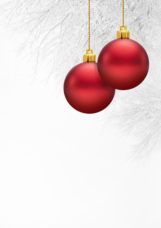 Red Christmas balls with a snow covered branch background Photograph by VladartDesign