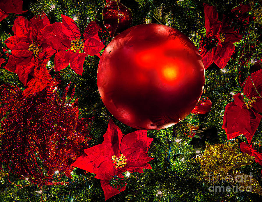 Red Christmas Ornaments Photograph by Nick Zelinsky Jr