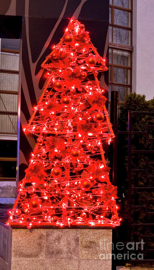 Red Christmas tree Photograph by Irina Afonskaya