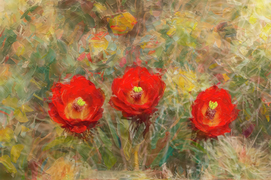 Red Claret Cup Cactus Flower - Painterly Mixed Media by Patti Deters