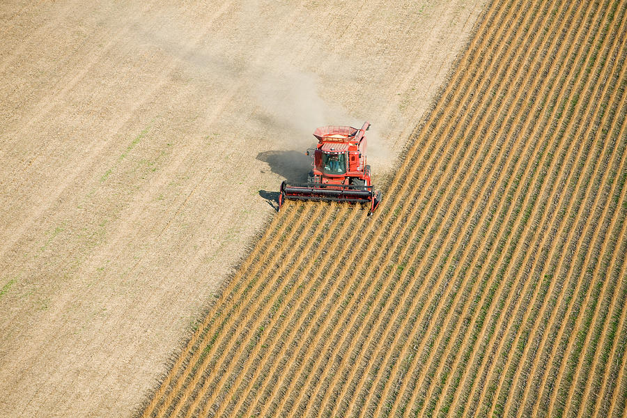 Red Combine Harvesting Fall Soybean Field Aerial Photograph by BanksPhotos