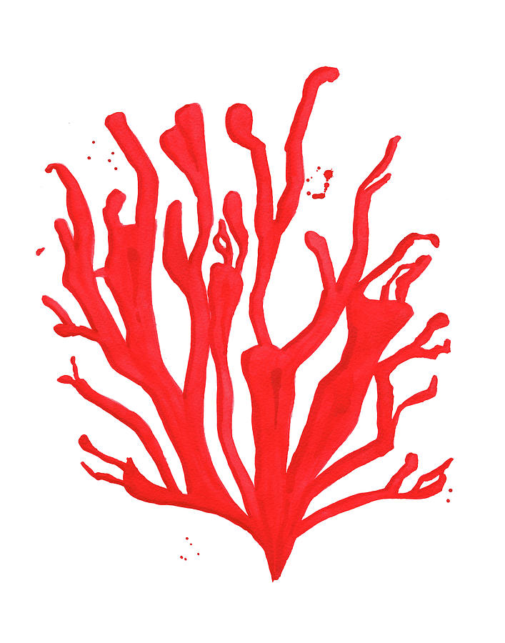 Red Coral no. 1 Painting by The Aestate - Fine Art America