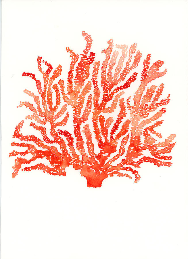 Red Coral Painting by Penn Gray Design - Fine Art America