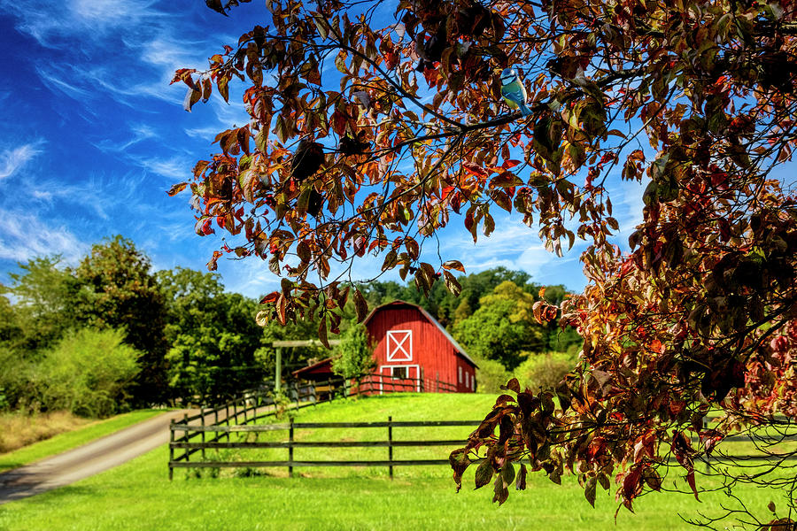 Red Country Barn in the Dogwoods Photograph by Debra and Dave Vanderlaan