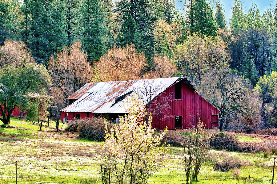 Red Country Barn Photograph by William Havle