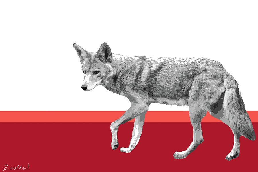 Red Coyote Painting by Boughton Walden