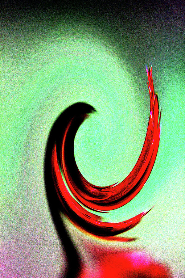 Abstract Photograph - Red Crepe Twirl by Holly Morris Abstract Photograph - Red Crepe Twirl by Holly Morris