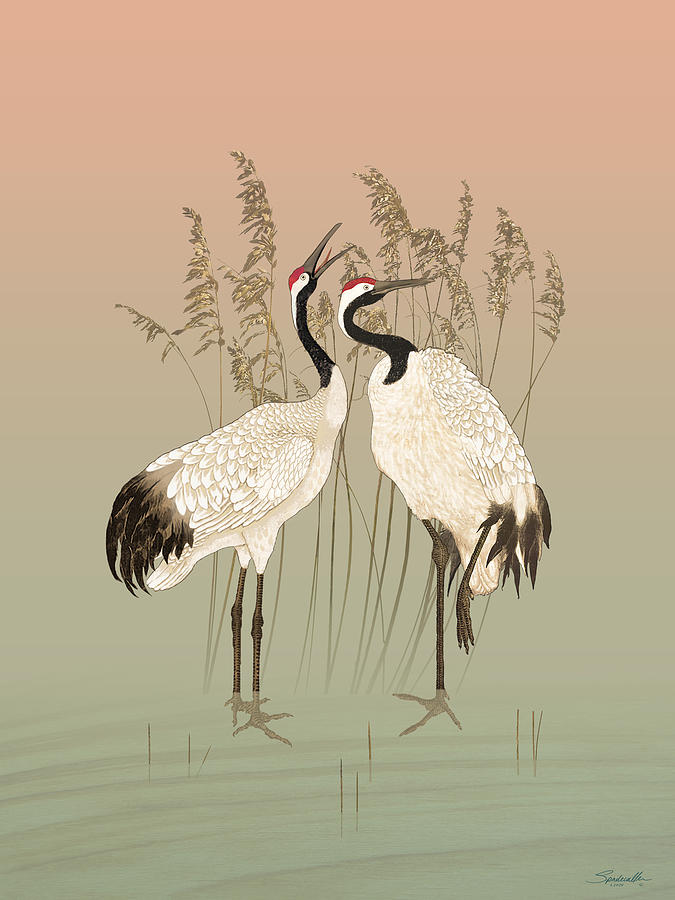 Red Crowned Cranes at Sunset Digital Art by M Spadecaller Pixels