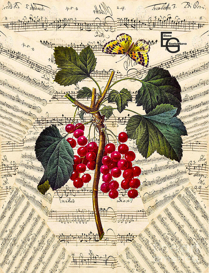 Red currant berries and a butterfly, against the background of a musical score Mixed Media by Elena Gantchikova