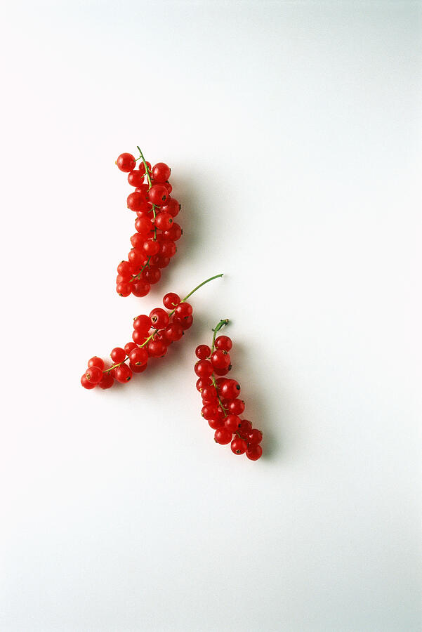 Red currants on white background Photograph by PhotoAlto/I. Rozenbaum & F. Cirou