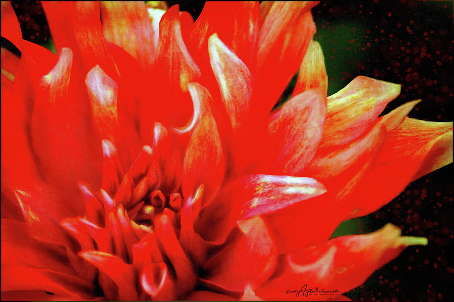 Red Dahlia Digital Art by Posey Clements
