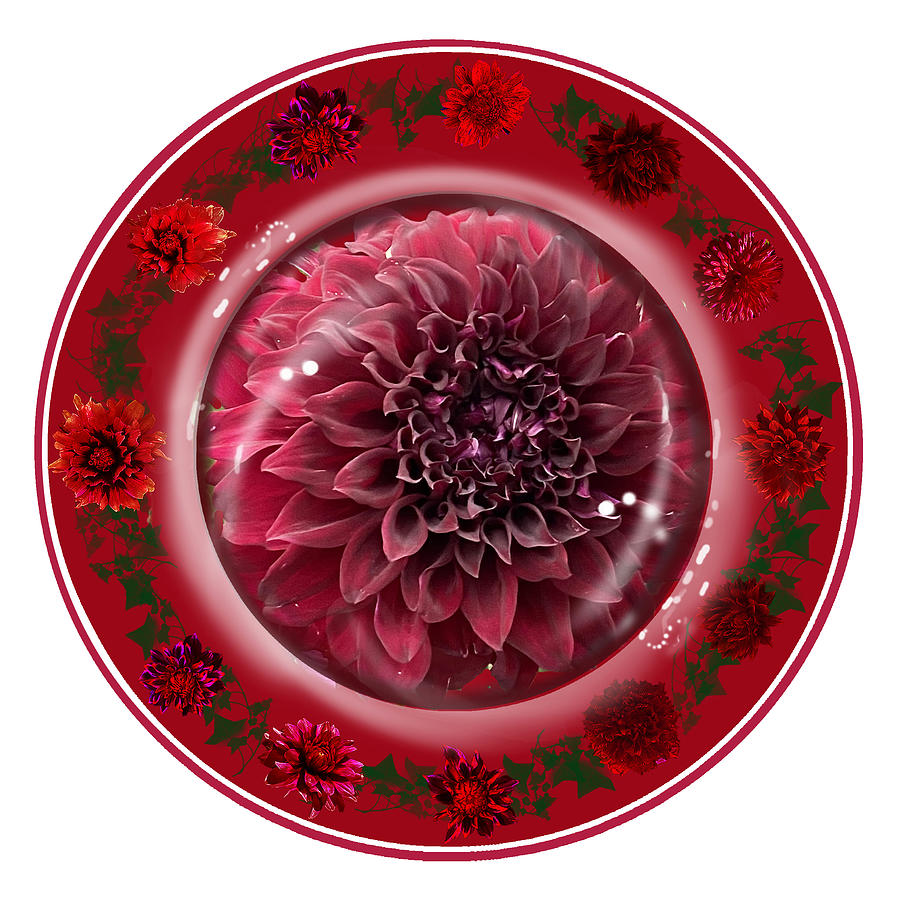 Red Dalia Plate Digital Art by Julie Rodriguez Jones