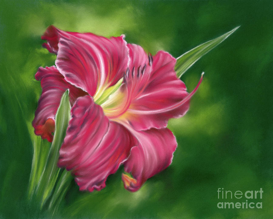 Red Daylily on Green Painting by MM Anderson