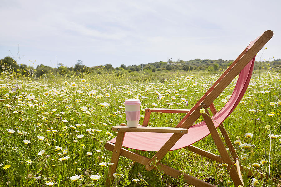 Red deck chair with coffee cup in a flower meadow Photograph by The_burtons