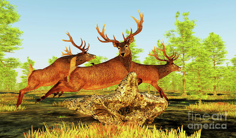 Deer Digital Art - Red Deer jump Dead Tree by Corey Ford