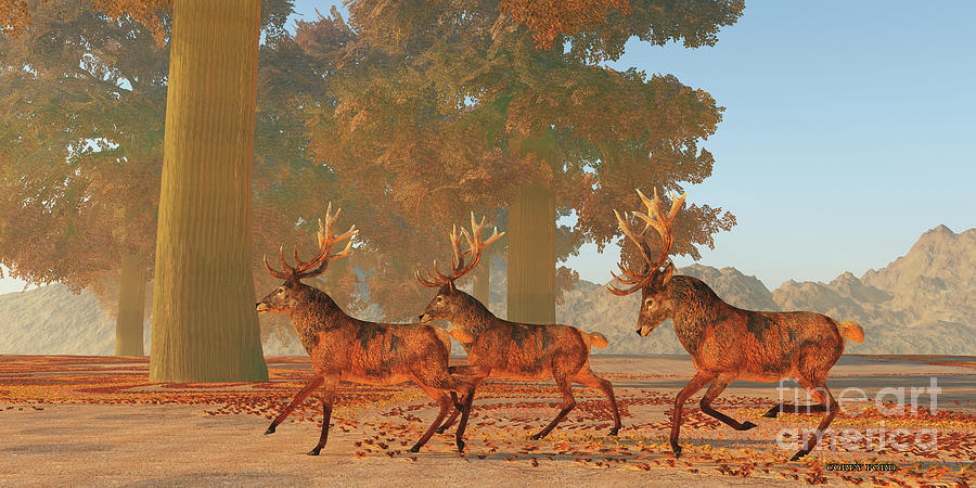 Deer Digital Art - Red Deer Run by Corey Ford