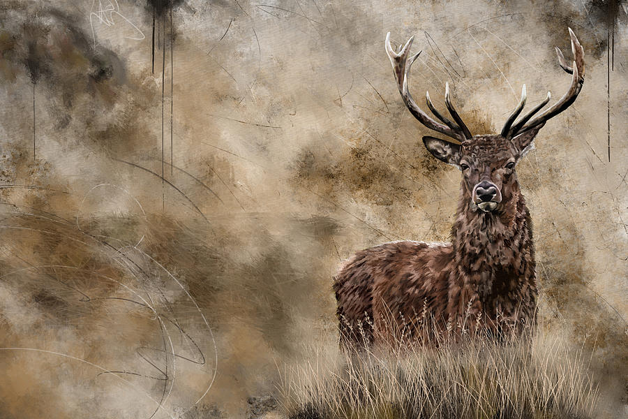 Red Deer Mixed Media by Shawn Conn
