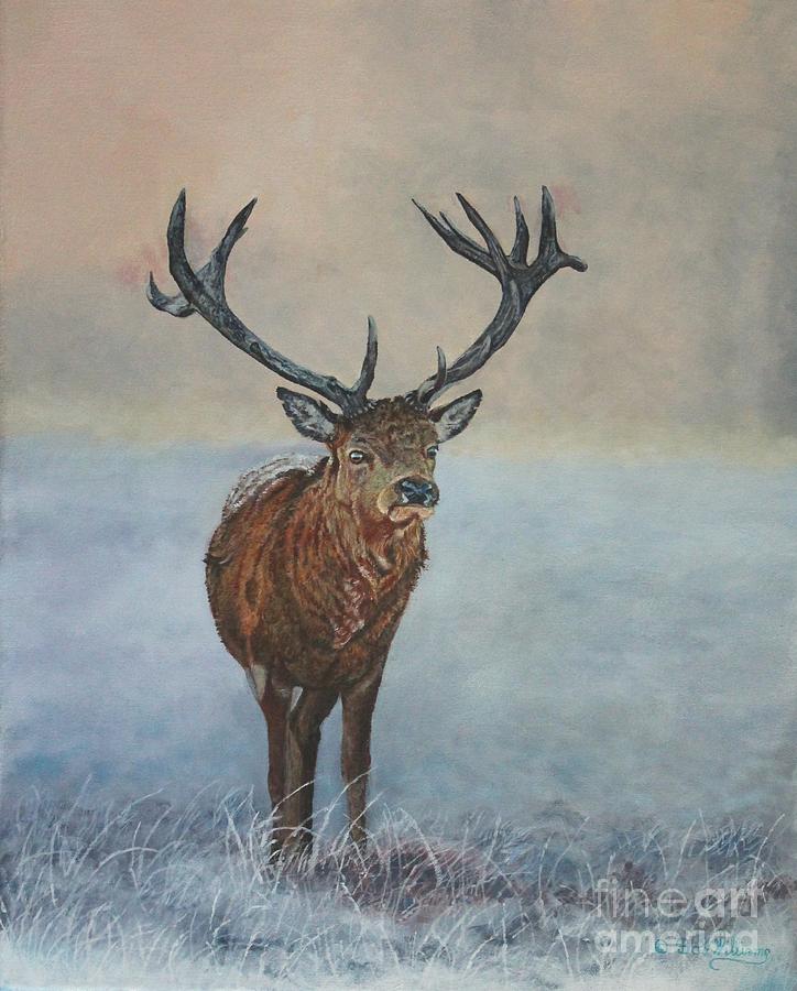 Red Deer Stag Painting by Bob Williams