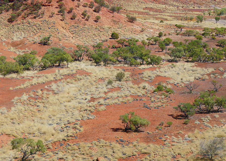Red Dirt Outback Landscape Photograph by Maryse Jansen