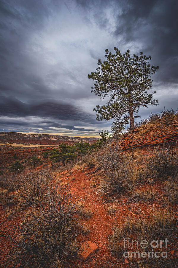 Red Dirt Ridge Photograph by Christopher Thomas