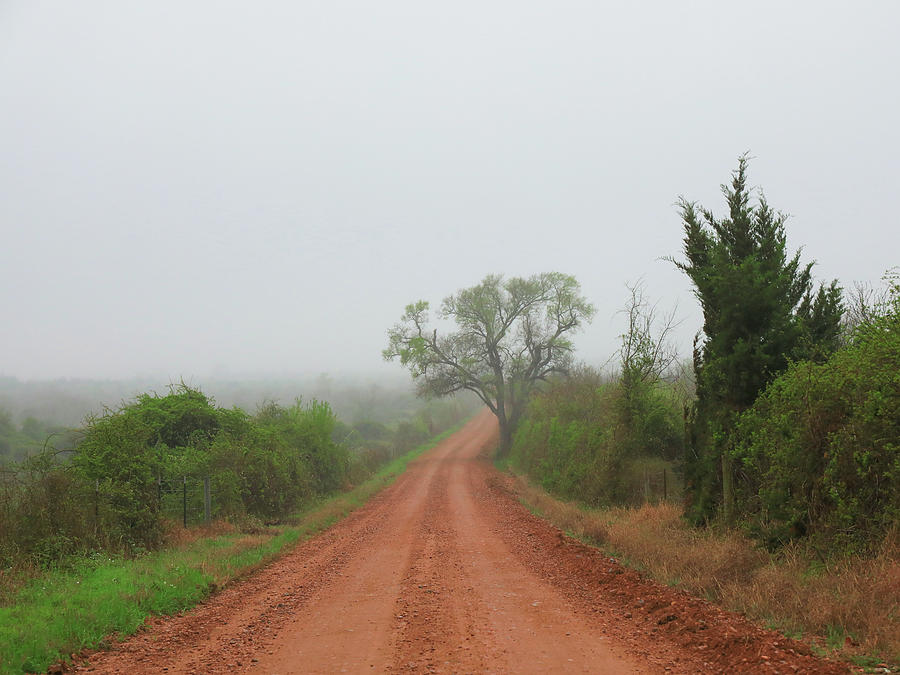 Red Dirt Road Texas Hill Country Photograph by Dan Sproul