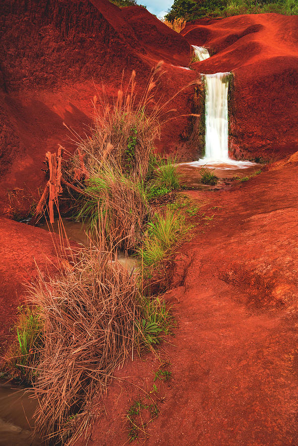 Red Dirt Waterfall Kauai, Hawaii Vertical Photograph by Abbie