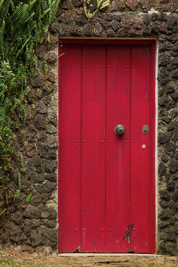 Red Door in Azores Photograph by Denise Kopko