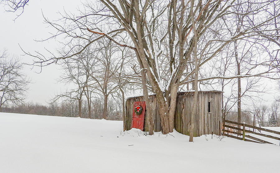 Red Door Shed Photograph by Wendy Carrington