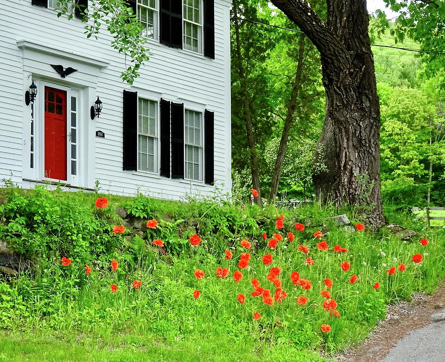 Red Door With Poppies Photograph by Catherine Arcolio