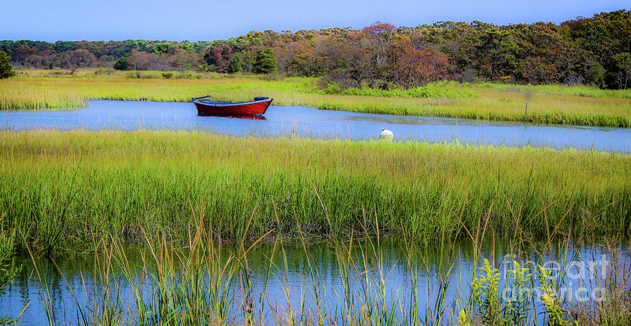 Red Dory Photograph by Sharon Mayhak - Fine Art America