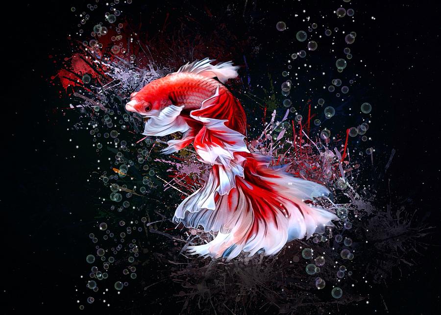 Red Dragon Betta Fish Aquatic  Portrait Digital Art