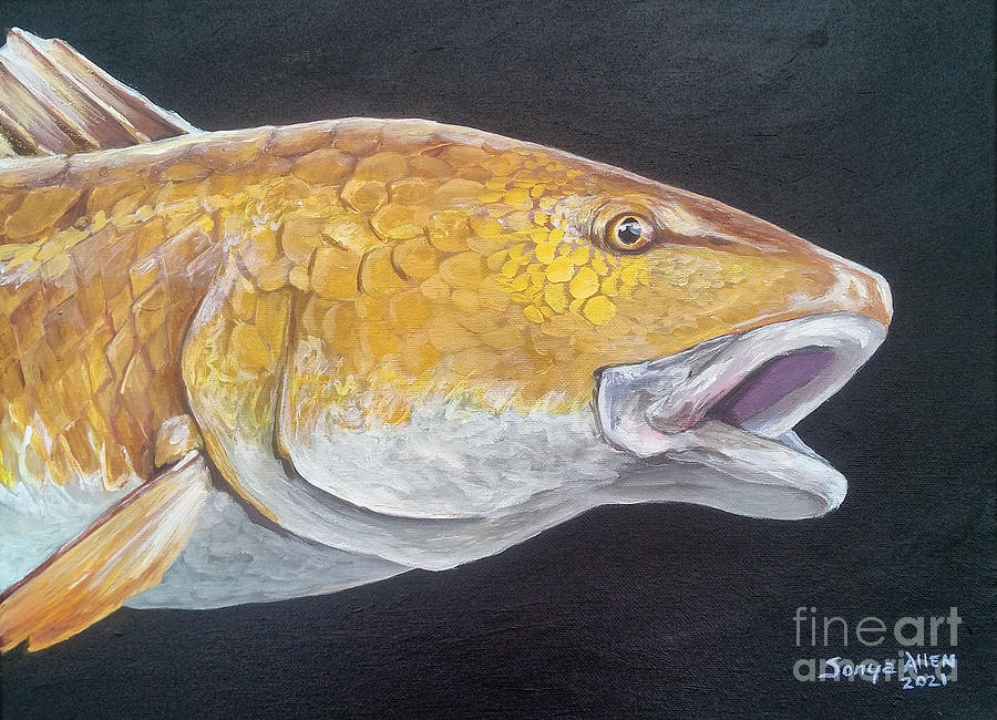 Red Drum Fish Close up Face by Sonya Allen Painting by Sonya Allen