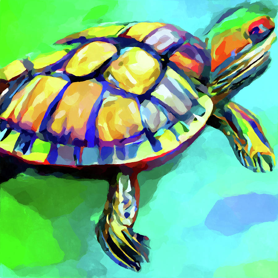 Red-Eared Slider Painting by Chris Butler