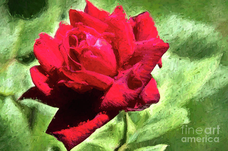 Flower Photograph - Red East Texas Rose by Diana Mary Sharpton