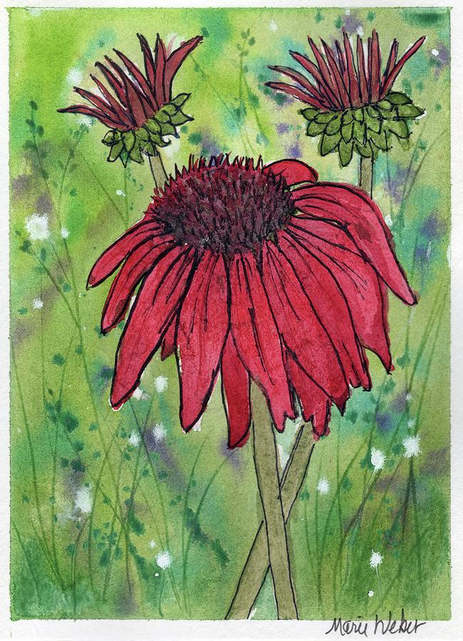 Red Echinacea Painting by Marie Weber - Fine Art America