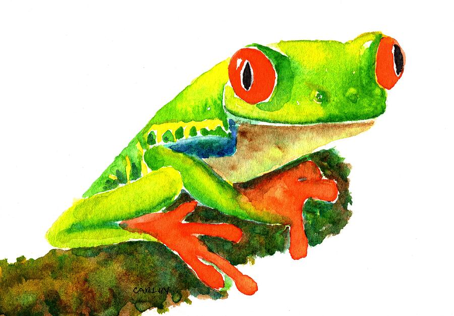 Nature Painting - Red Eyed Frog by Carlin Blahnik CarlinArtWatercolor