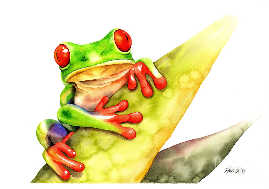 Red-eyed Frog Watercolor Painting By Hwi Jung