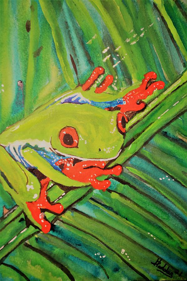 Red Eyed Tree Frog Painting by GARY Haddan | Fine Art America