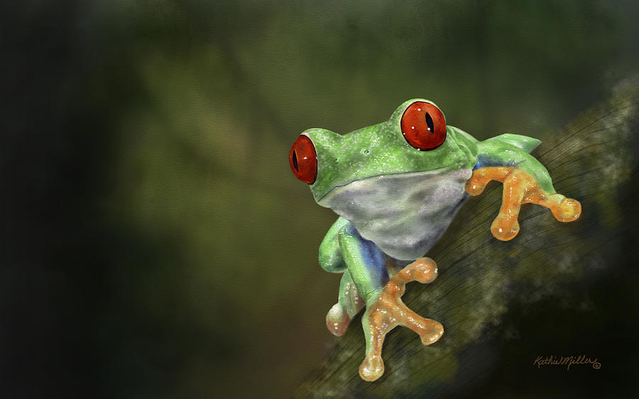 Red Eyed Tree Frog Digital Art by Kathie Miller