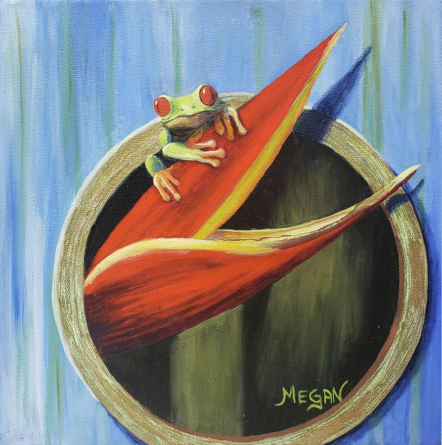 Red-eyed Tree Frog by Megan Collins