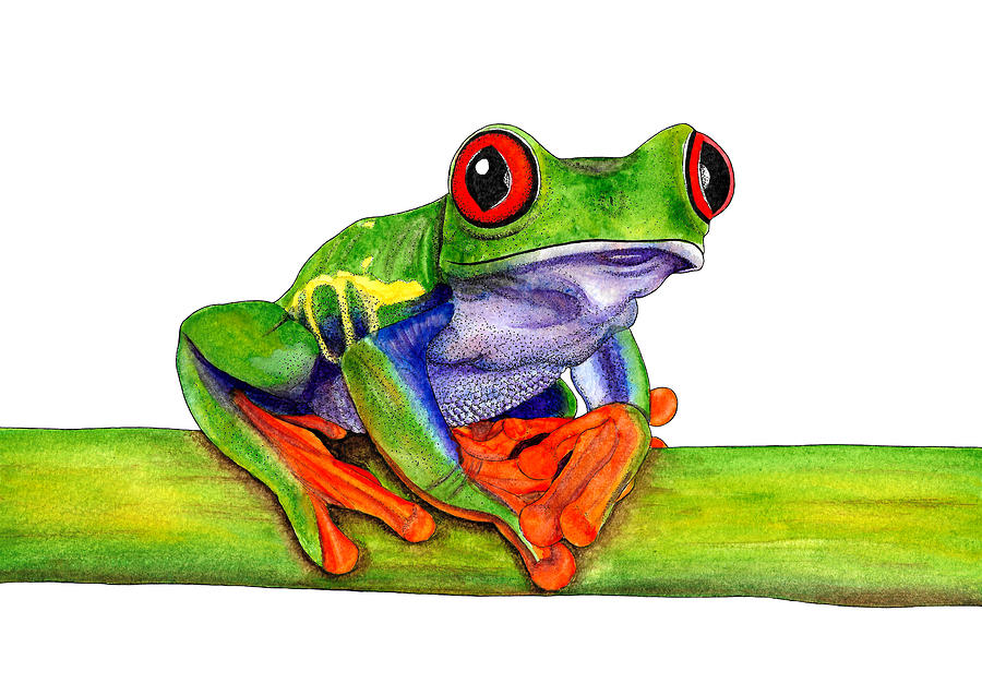 Red-eyed treefrog Painting by Loren Dowding - Fine Art America